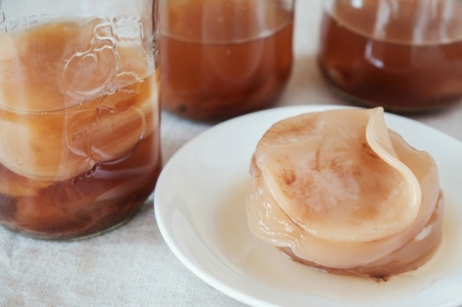 Scoby được cho vào trà đen, trà xanh ngọt rồi để nó tự lên men trong 1-4 tuần.