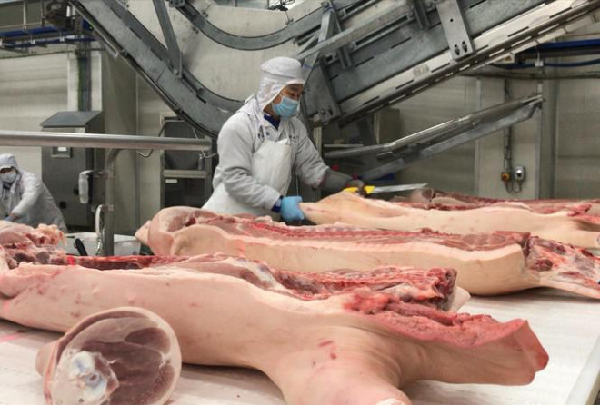 Nhiều doanh nghiệp đã có kế hoạch nhập thịt lợn để bù đắp thiếu hụt. Ảnh: Bình Phương