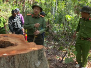 Tin tức trong ngày - Ngày làm việc đầu tiên của đại tá Vũ Hồng Văn với cương vị Giám đốc Công an Đồng Nai