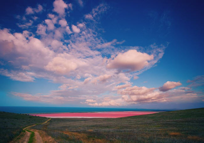 Hồ Spencer, Australia: Hồ nước màu hồng có thể trông không tự nhiên, nhưng màu nước thực chất được tạo ra bởi một loại tảo sống trong hồ.
