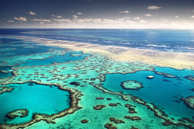 Rạn san hô Great Barrier: Là Di sản Thế giới của UNESCO, đây là bộ sưu tập khoảng 2.900 rạn san hô hoang sơ bao gồm hệ thống rạn san hô lớn nhất hành tinh và có lẽ là điểm đến lớn nhất của thế giới cho những người yêu thích sinh vật biển.
