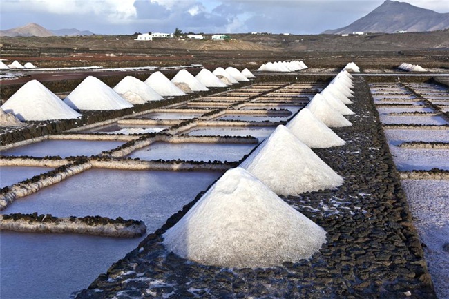 Muối là nguyên liệu quan trọng trong cuộc sống hàng ngày của con người. Ăn nhiều muối quá cũng không tốt nhưng nếu thiếu muối cũng rất nguy hiểm.
