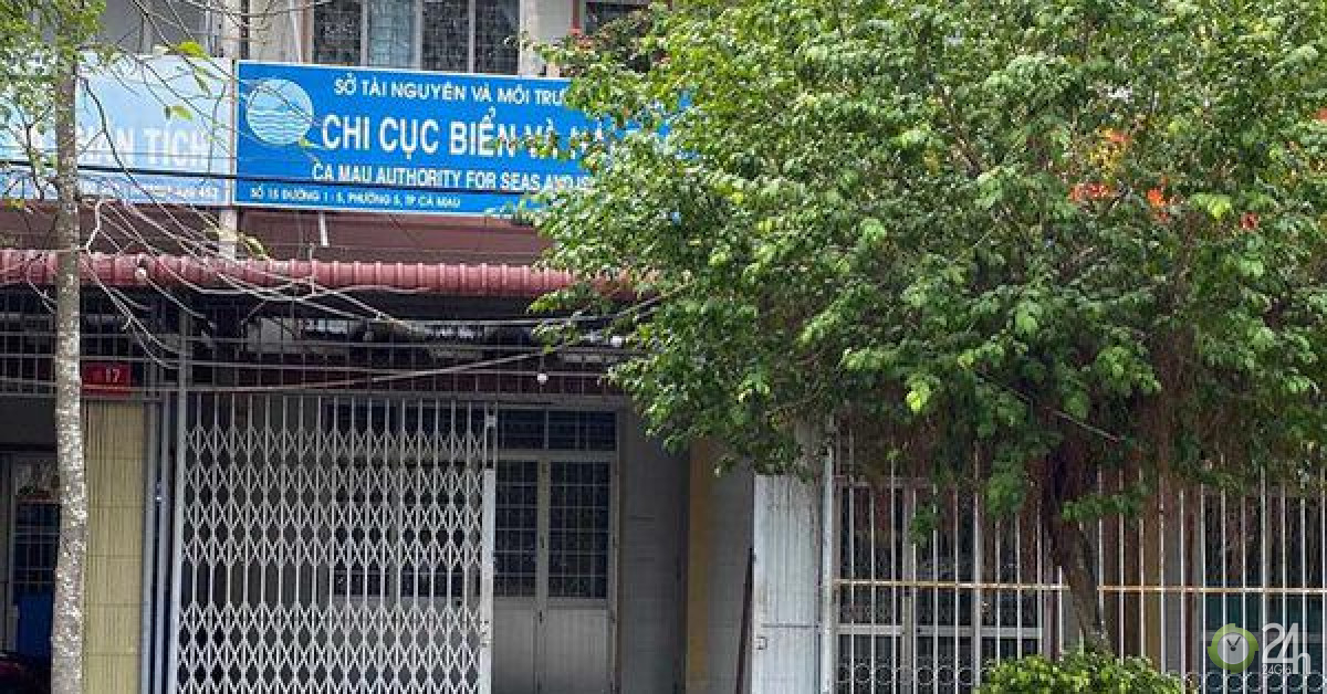 Buộc thôi việc nữ phó phòng đi du học nước ngoài không về