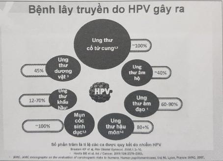 Ảnh: Chụp từ báo cáo tại Hội nghị Sản phụ khoa - Hỗ trợ sinh sản nhân dịp kỷ niệm 50 năm tái thành lập khoa Phụ sản Bệnh viện Bạch Mai ngày 29/11