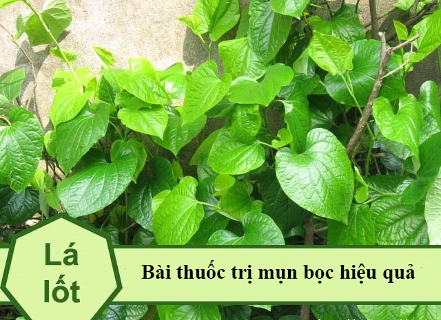 12 Cách trị mụn bọc sưng đỏ tại nhà an toàn hiệu quả nhất - 12