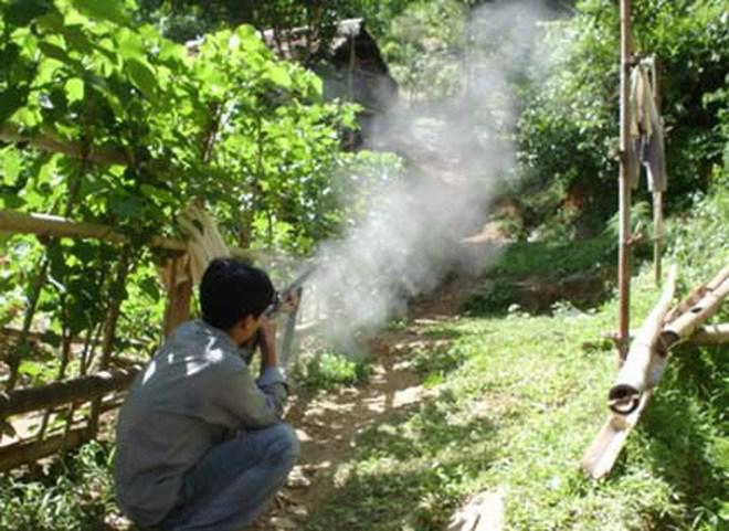 Hái rau trong rừng, một người đàn ông trúng đạn súng kíp tử vong. (Ảnh minh họa)