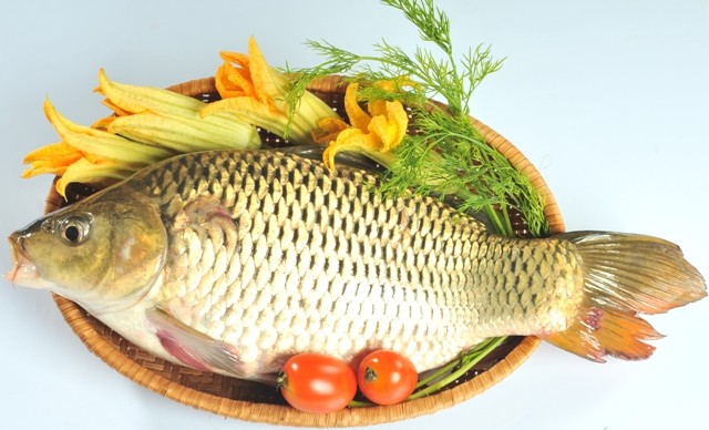 Nhiều người vẫn không hề biết rằng, cá cũng kỵ với một số loại thực phẩm.