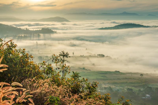 Làm say đắm lòng người...