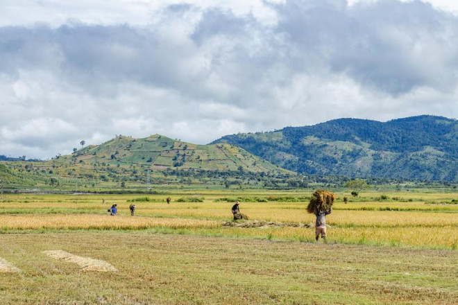 hay là những nương rẫy dưới chân núi lửa.