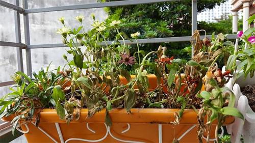 Những món đồ cũ không nên chứa trong nhà vì vừa gây bệnh vừa xui xẻo &#34;đại hung&#34; - 1