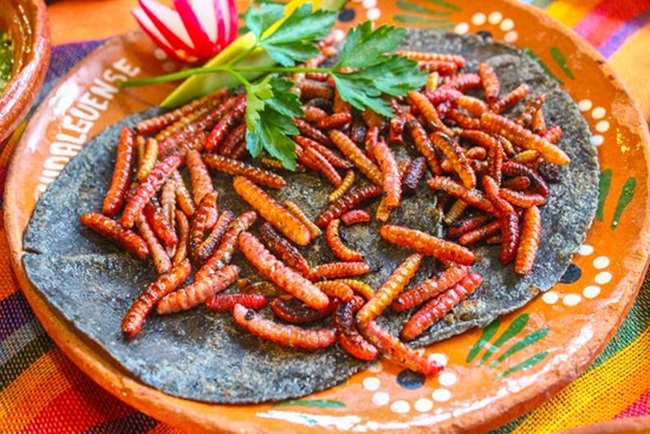Với lượng 100g sâu bướm maguey có chứa 650calo tương đương 2 đĩa cơm.