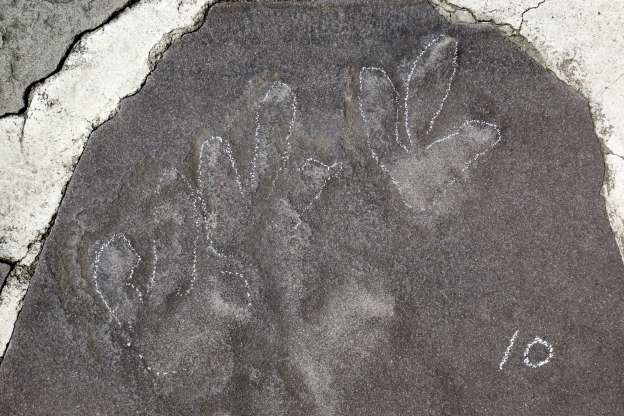 Các dấu chân khủng long được phát hiện bên trong di tích Tị Thử Sơn Trang (Ảnh: N.C.N)