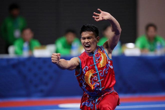 Brunei giành được 2 HCV SEA Games, 1 đến từ polo và 1 đến từ môn wushu với sự tỏa sáng của Mohammad Adi Salihin Roslan. Võ sĩ 19 tuổi - người cầm cờ trong lễ khai mạc SEA Games 2017 - đã giành HCV ở nội dung nam đao / nam côn.