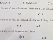 Giáo dục - du học - Phụ huynh phản đối gay gắt với đề kiểm tra “hại não” của học sinh lớp 1