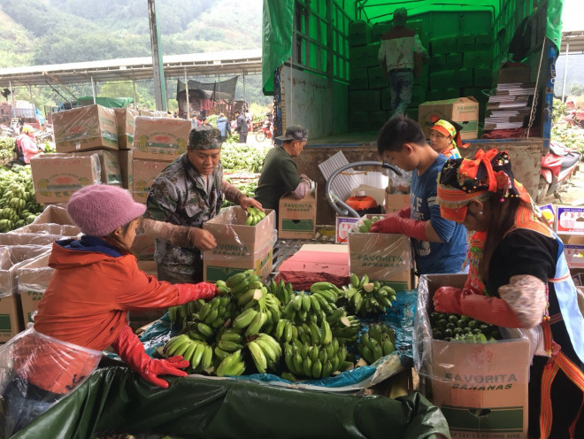 Sau đó được xếp gọn vào các túi ni lông, hút sạch chân không rồi đóng thùng, chất lên xe tải