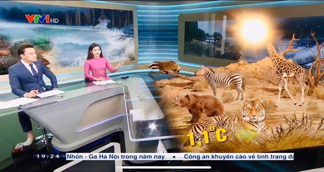 Khoảnh khắc BTV Hữu Bằng để lộ hình ảnh đi chân đất trên sóng trực tiếp khi dẫn chương trình Thời sự&nbsp;19h của VTV.