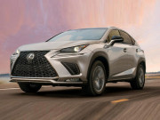 Tin tức ô tô - Lexus NX thế hệ mới dự kiến ra mắt vào năm sau