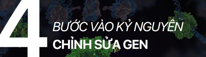 Sóng hấp dẫn, chỉnh sửa gen và những phát hiện khoa học vĩ đại nhất thập kỷ (phần 1) - 8