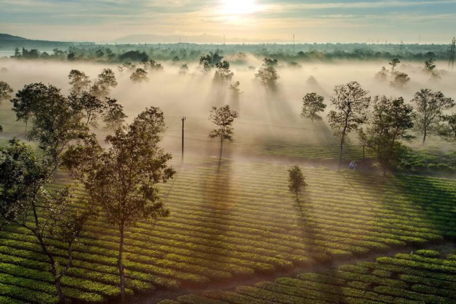 và quyến rũ lòng người.