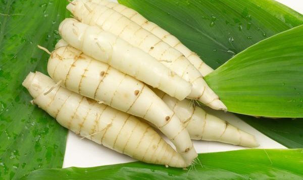 Sử dụng củ dong cho thực đơn giảm cân là sự lựa chọn thông minh