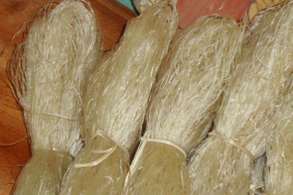 Củ dong được sử dụng làm nguyên liệu chế biến ra nhiều loại đồ ăn