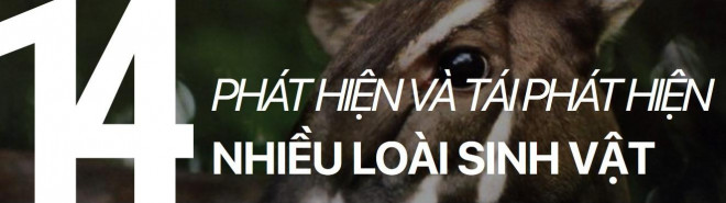 Những phát hiện khoa học vĩ đại nhất thập kỷ qua (phần 2) - 12