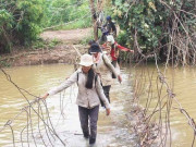 Tin tức trong ngày - Sập cầu đang xây dựng, 2 công nhân tử vong