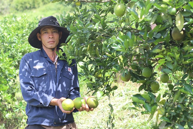 Những loại quả ruột đỏ khiến chị em &#34;chao đảo&#34; ngay khi xuất hiện - 14