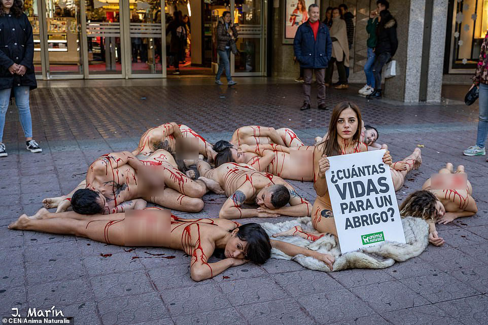 Nhóm người biểu tình khỏa thân trước trung tâm thương mại ở Tây Ban Nha
