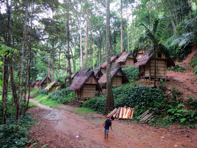 Người Baduy sống ở những căn nhà bằng gỗ.