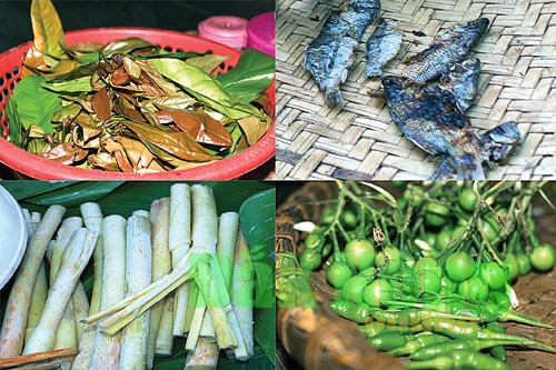 Món canh thụt cà đắng của đồng bào dân tộc M'Nông ở tỉnh Đắk Nông có thêm đọt mây rừng. Ảnh: Báo Đắk Nông.