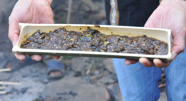 Món canh thụt cà đắng của đồng bào dân tộc M'Nông Tây Nguyên. Ảnh: internet.