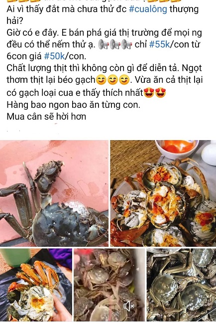 Không khó để bắt gặp những bài rao bán cua lông Thượng Hải với giá “siêu rẻ” trên chợ mạng những ngày này.