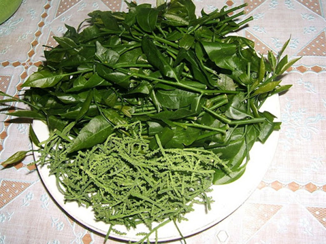 Loại rau này được bán trên thị trường với giá khá cao, động từ 120.000 đồng – 200.000 đồng/kg tuỳ thời điểm. Đặc biệt, rau sắng chùa Hương nổi tiếng có khi còn lên tới hàng triệu đồng một ký.
