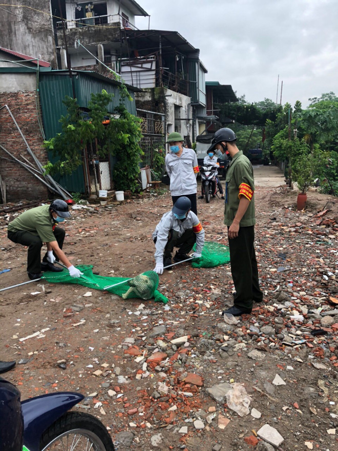 Một chú chó thả rông bị bắt giữ