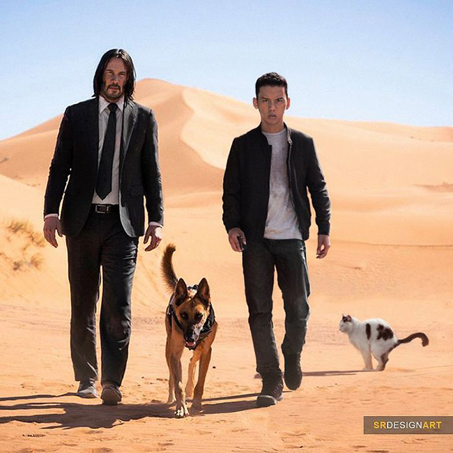 John Wick có bạn đồng hành không còn cô đơn nữa.
