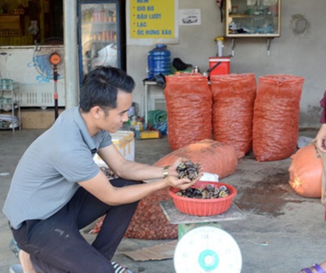 Mùa đông hay nắng nóng chúng ẩn sâu từ 5-10 cm trong đất, đá nên rất khó bắt.&nbsp;
