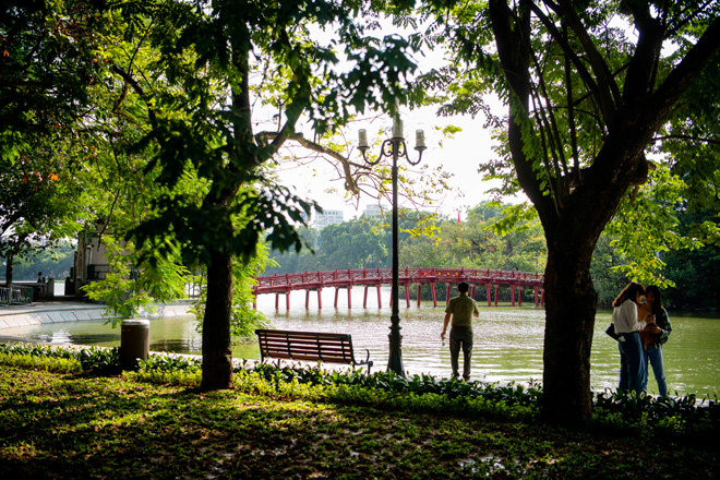 Ngoài “rừng cây” cổ thụ, quanh hồ Hoàn Kiếm còn được trồng thêm thảm thực vật xanh phong phú và đa dạng về chủng loại.