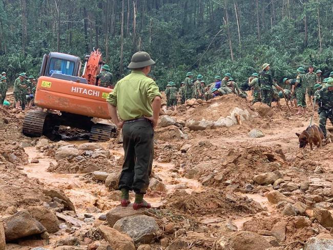 Hàng trăm chiến sĩ, hơn 30 chó nghiệp vụ đang tìm kiếm. (Ảnh: CTV)