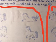 Bạn trẻ - Cuộc sống - Xuất hiện bài toán lớp 1 &quot;xoắn não&quot; khiến phụ huynh cãi nhau om tỏi