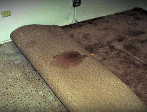 Sau khi sát hại vợ, gã chồng cùng kẻ đồng phạm làm sạch vết máu trên tấm thảm trong phòng trước khi tới quán bar.