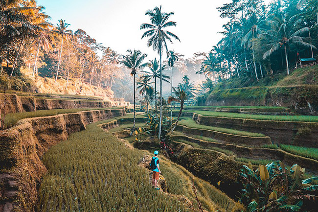 Bali: Hòn đảo nhỏ của Indonesia này là một sự hấp dẫn tuyệt vời khi nói đến sự đa dạng của cảnh quan và các hoạt động tại đây. Từ những bãi biển hoàn hảo đến thác nước và rừng rậm hấp dẫn đầy cơ hội để phiêu lưu.&nbsp;
