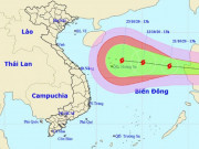 Tin tức trong ngày - Video đường đi bão Saudel đang tiến vào Biển Đông, dự báo giật tới cấp 14