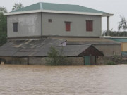 Tin tức trong ngày - Sang nhà hàng xóm tránh lũ, một học sinh lớp 3 ngã tử vong