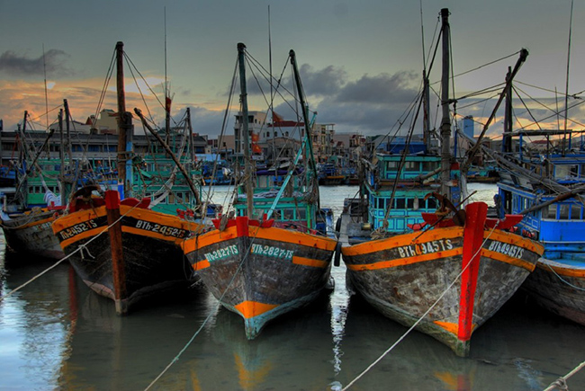 Ăn hải sản trong một làng chài: Bạn có thể tìm thấy những làng chài cổ kính suốt chiều dài bờ biển của Việt Nam. Có điều gì đó rất ấn tượng khi ăn hải sản ở một nơi mà bạn có thể nhìn thấy những chiếc thuyền đã ra khơi trước bình minh.
