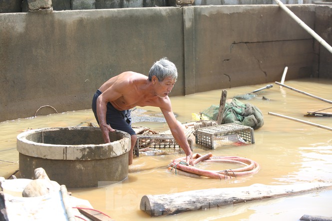 &nbsp;Ông Nguyễn Văn Cảnh, trú tại thôn Tân Lễ, xã An Thủy cố gắng nhặt nhạnh những gì còn sót lại