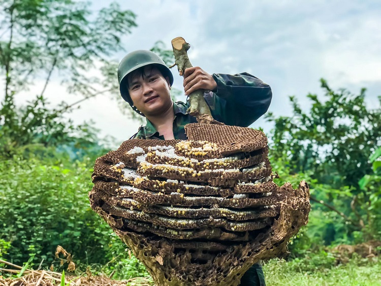 Tổ ong trời to nhất anh Thanh lấy được nặng hơn 20kg.