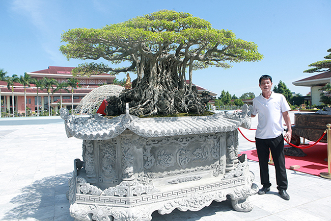 Cây sanh cổ “Cửu long tọa sơn” của anh Trần Xuân Lộc sừng sững giữa Trung tâm văn hóa Kinh Bắc (TP. Bắc Ninh) được giới chơi cây cảnh yêu thích không chỉ bởi dáng thế mà chậu đặt cây cũng rất độc đáo.

