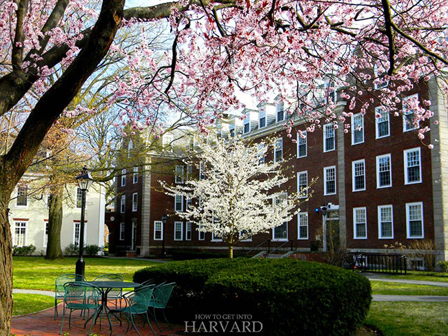 Đại học Harvard là một trong những nơi được ghé thăm nhiều nhất ở Boston, và thậm chí toàn bộ khu vực Bờ biển phía Đông nước Mỹ.&nbsp;
