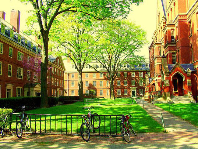 Vườn Harvard Yard rộng hơn 100.000m2 và có 25 cổng. Đây là nơi có thư viện, nhà thờ tưởng niệm và cũng là nơi diễn ra lễ tốt nghiệp Harvard hàng năm.
